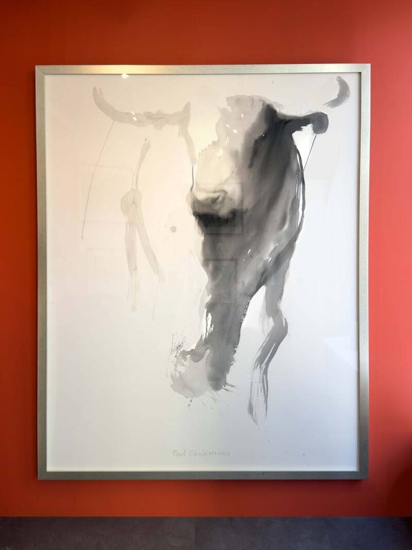 Toro