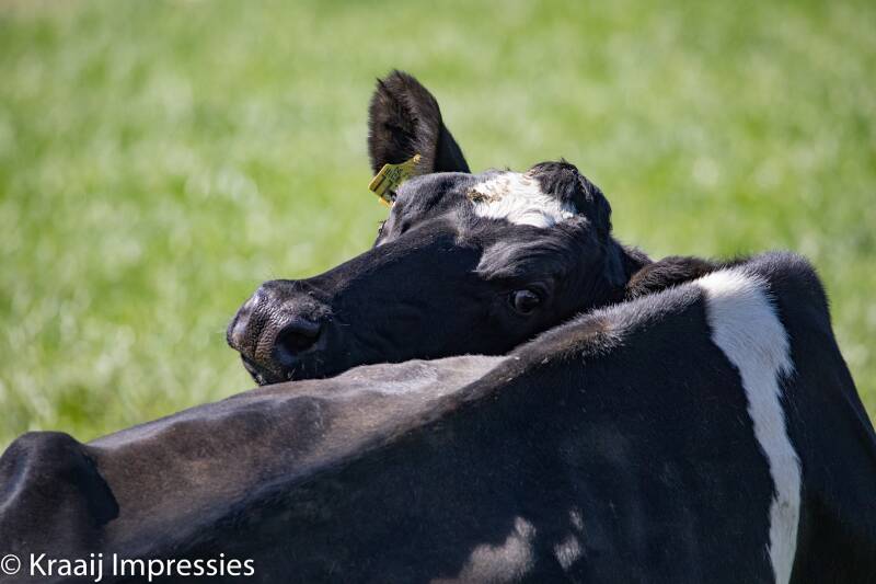 agrarisch agri fotografie fotograaf