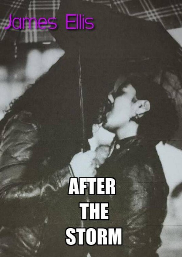 After The Storm ( 2007 )