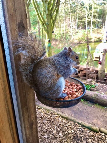 How to save money on a Center Parcs holiday