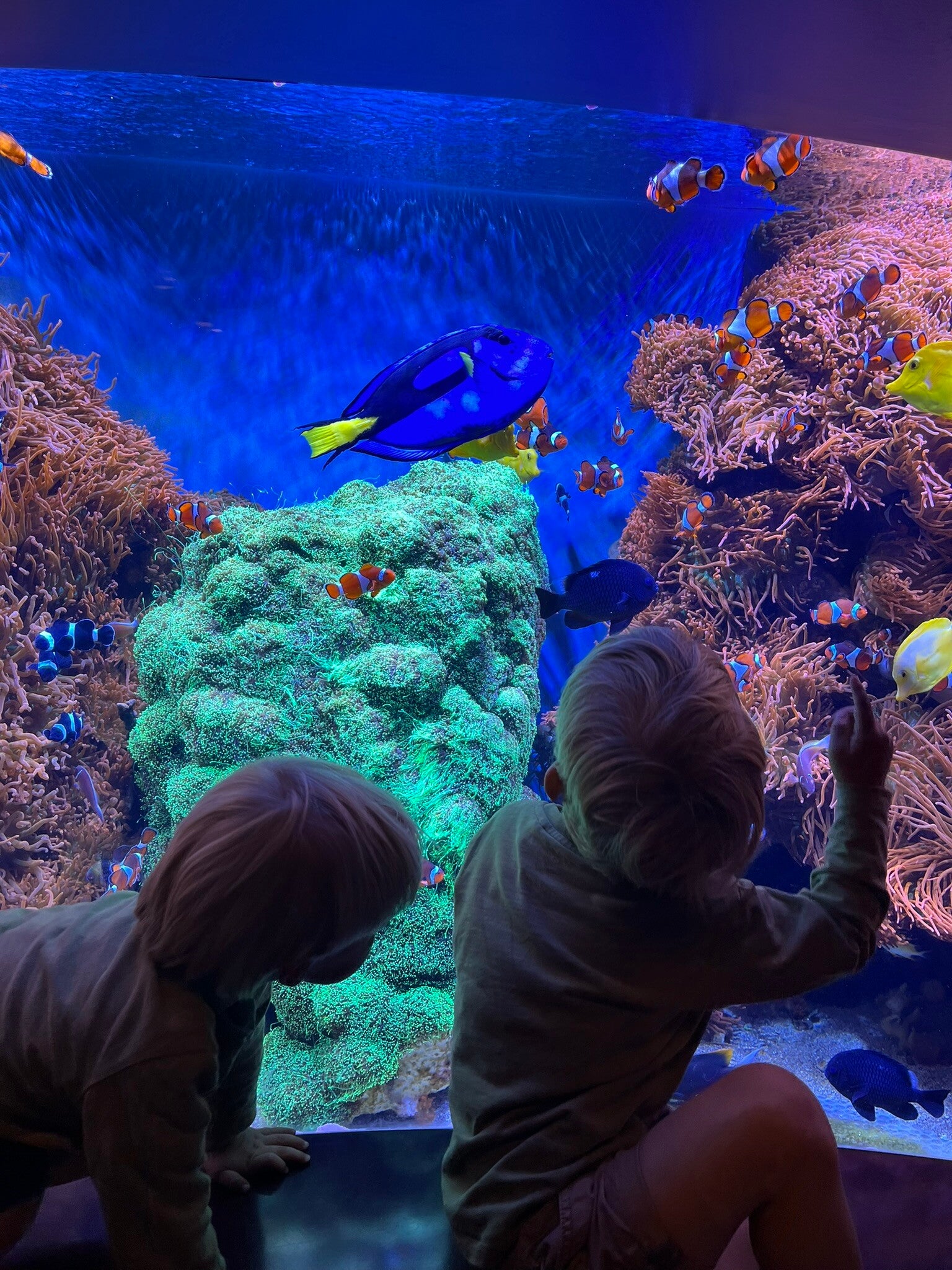 Monterey Travel Guides