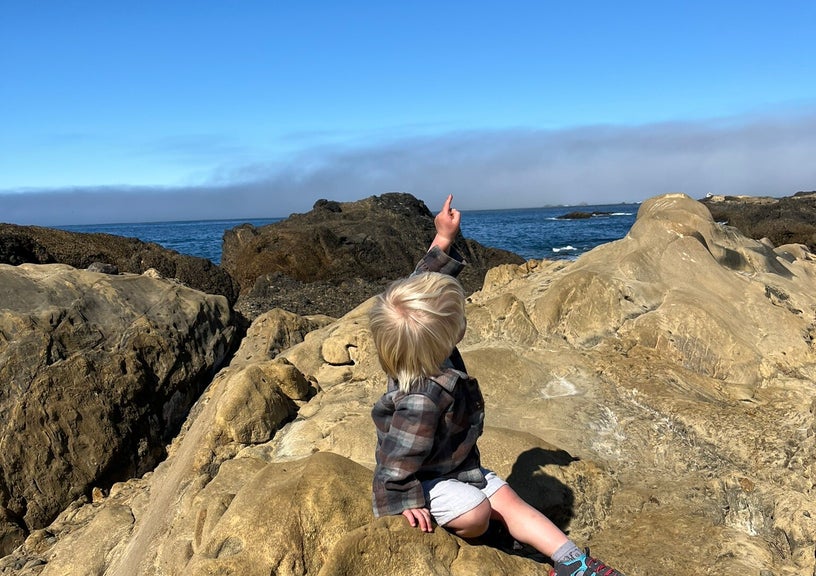 Monterey & Big Sur With Small Kids