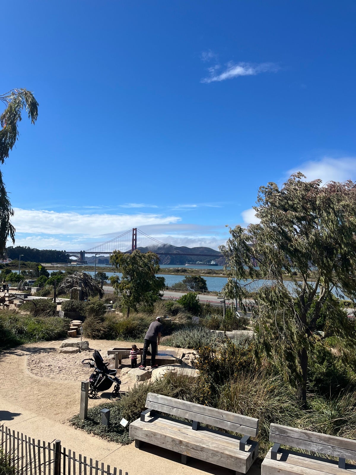 Fun Things To Do With Kids In San Francisco / San Francisco ...