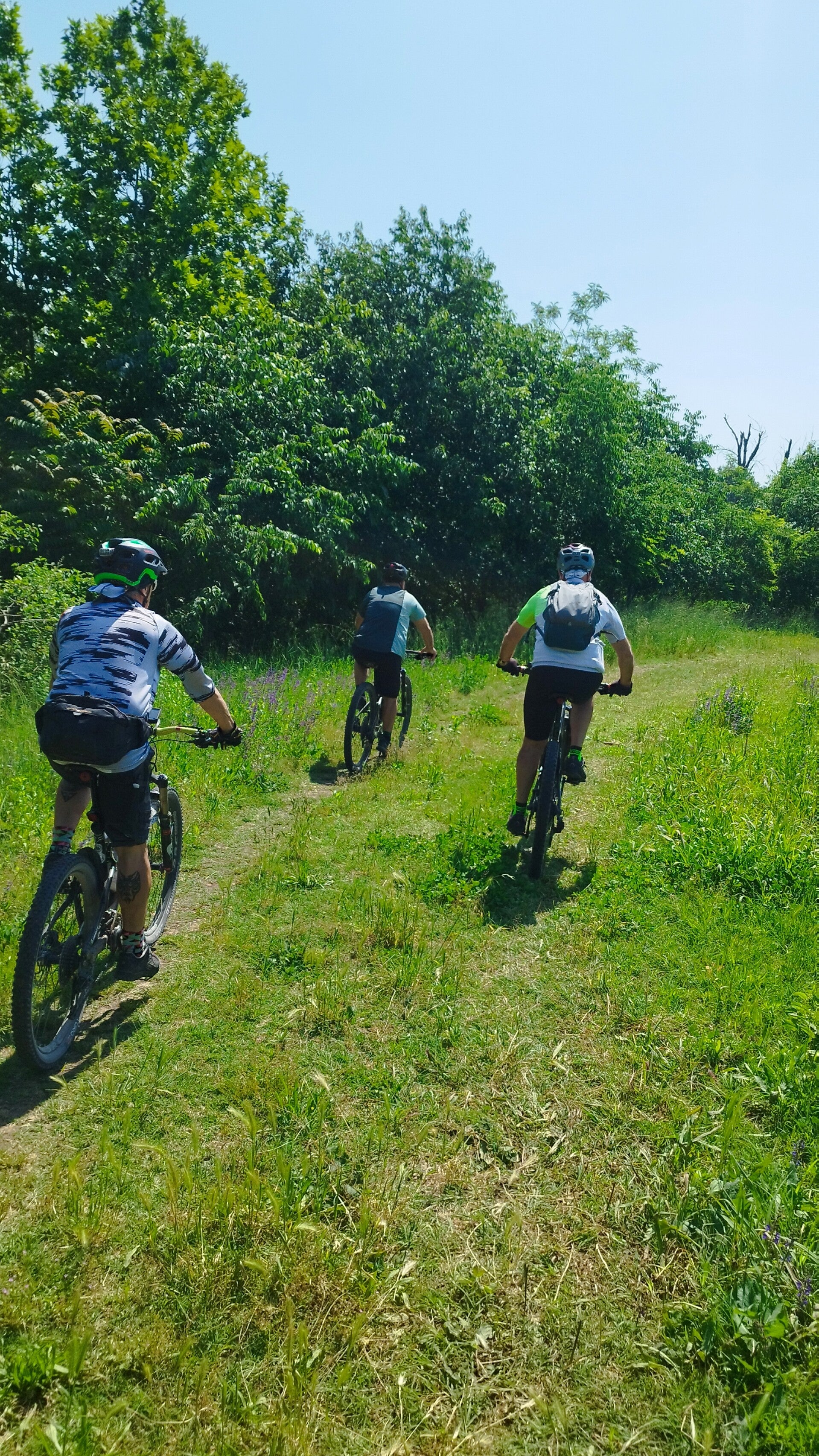 persone che vanno in bicicletta sui sentieri dei campi