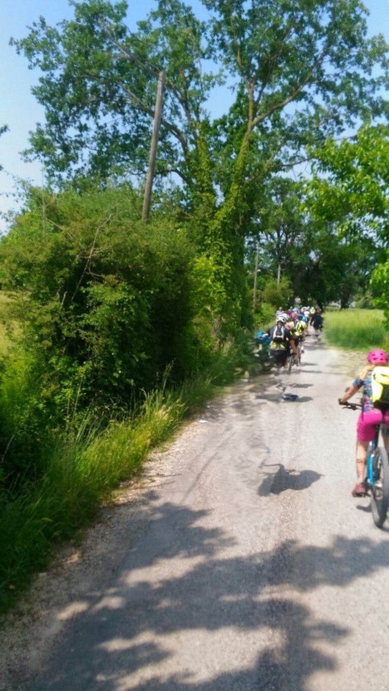 ciclisti su percorso nelle campagna