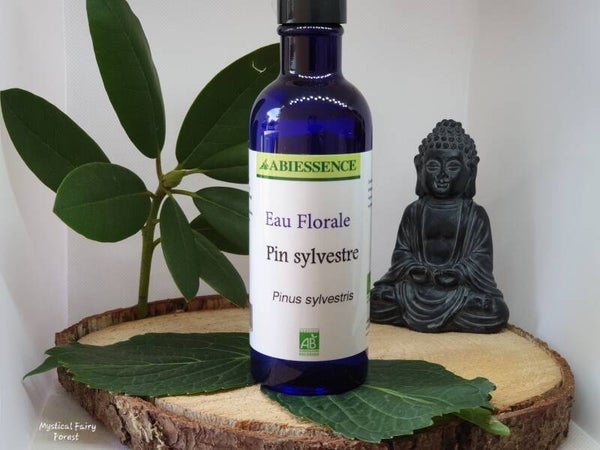 Pin Sylvestre Eau Florale Biologique (Hydrolat) 200 ml