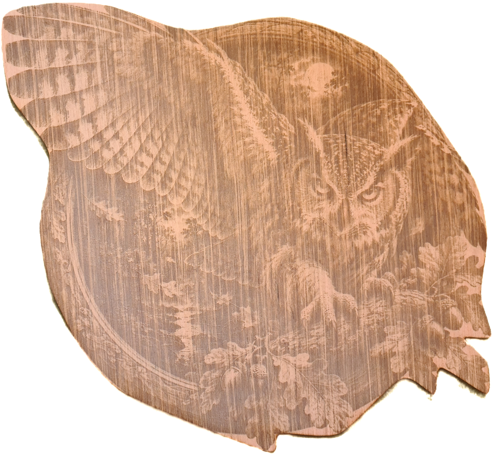 Wanddecoratie de Uil (HLV 3D)