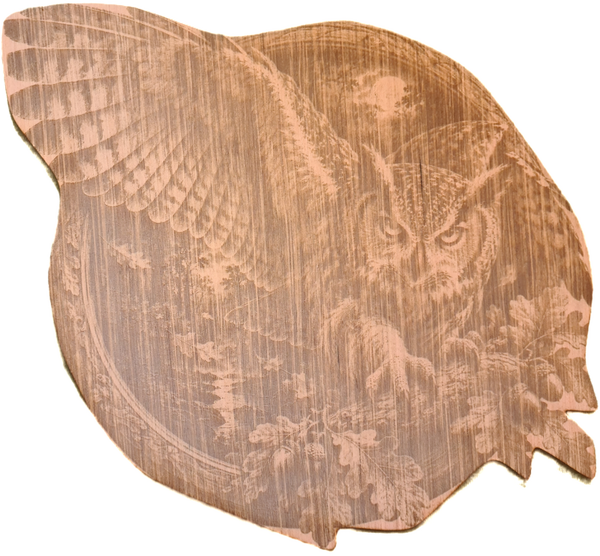 Wanddecoratie de Uil (HLV 3D)
