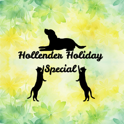 Hollender Holiday Special 🚤