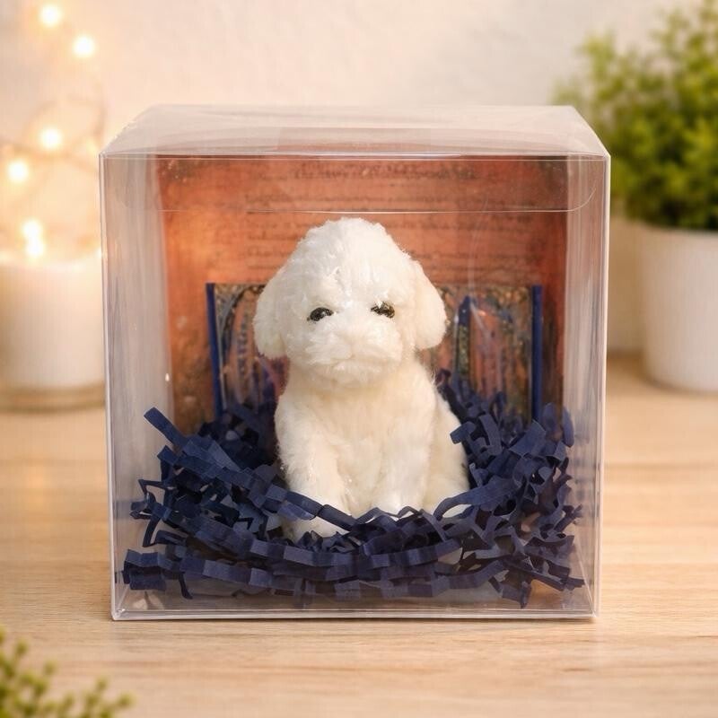 Bubbly Biscuit Bubblebrook Village Soap Kids Gift Set w Trading Card Story Collectible Character