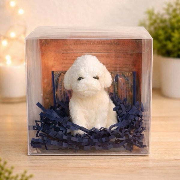 Bubbly Biscuit Bubblebrook Village Soap Kids Gift Set w Trading Card Story Collectible Character