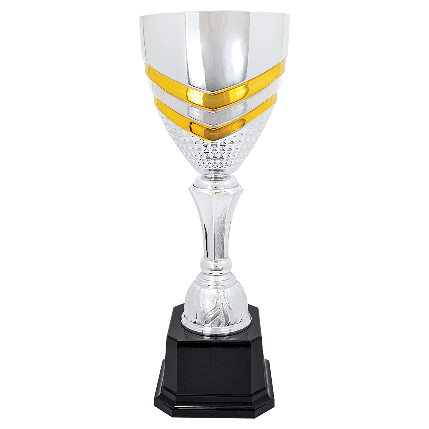 Elegant Silver Trophy with Gold Touches