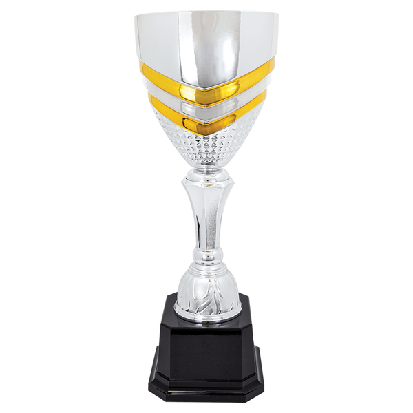 Elegant Silver Trophy with Gold Touches