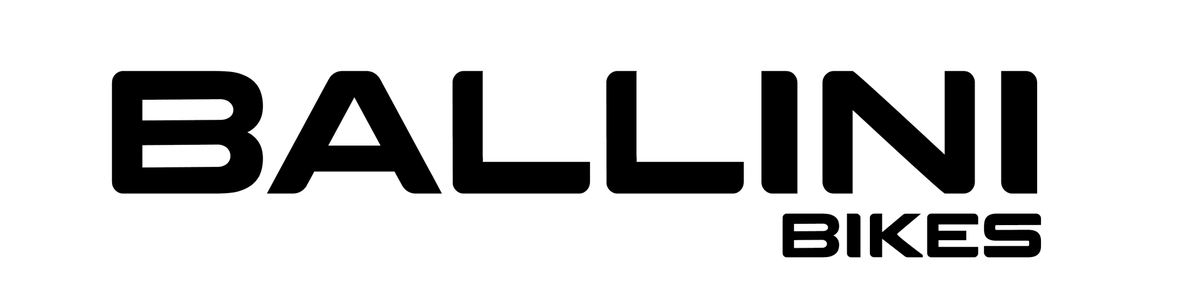 Heren E-bikes / e-bikes | ballini bike's