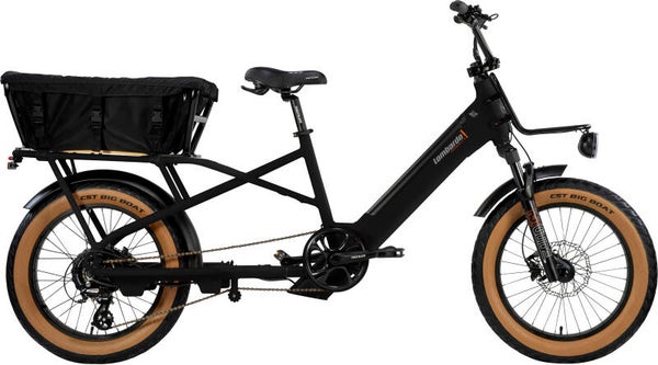 Ballini Mondello 20" Longtail