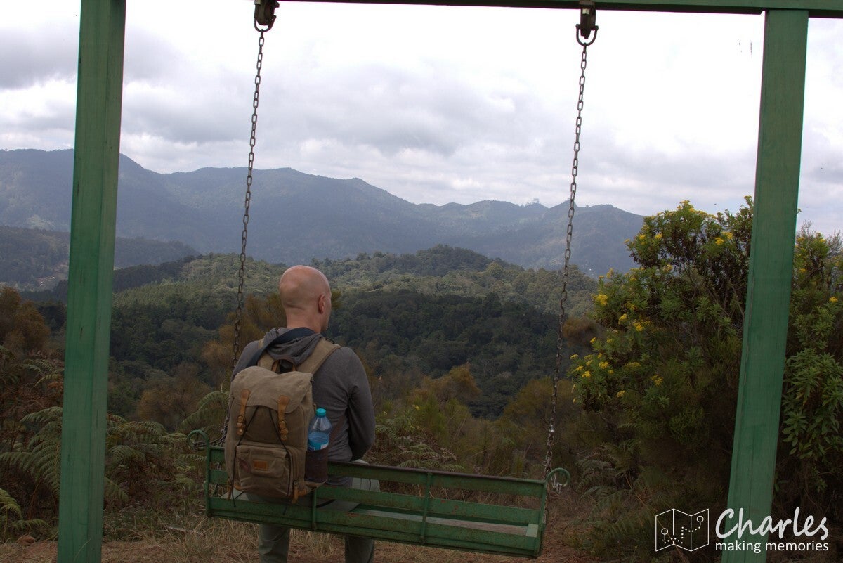 Tanzania, Usambara Mountains, Magamba Nature Forest Reserve