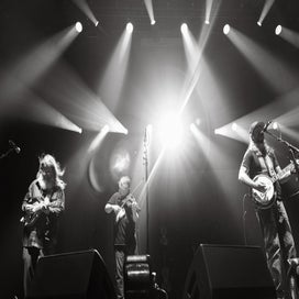 p1145367-standard.jpg