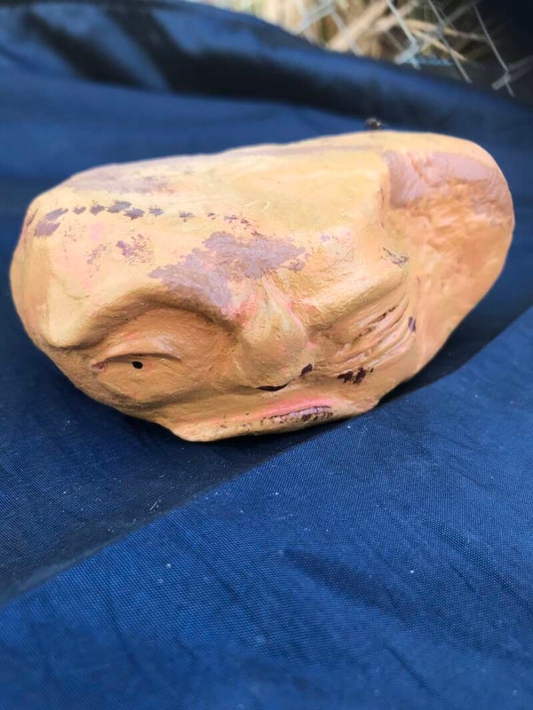 Living rock grumpy