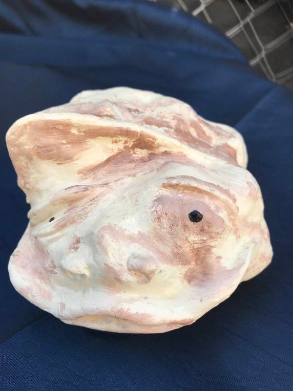 Living rock coco