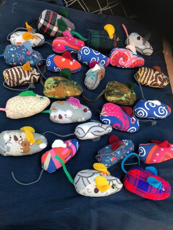 Catstoys