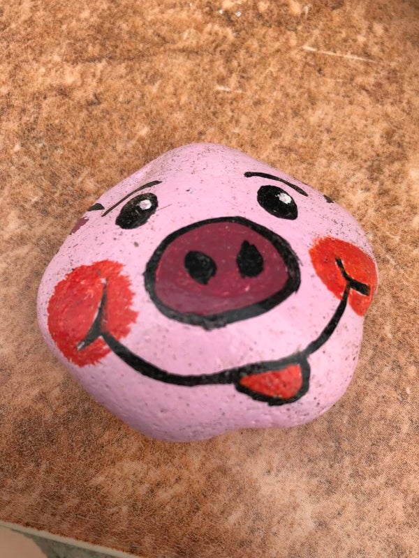 Painting stone pig