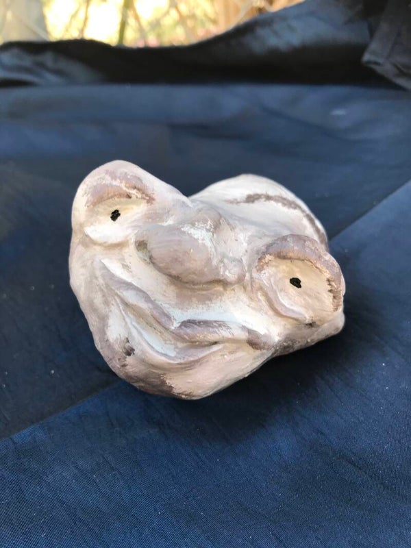 Living rock naughy