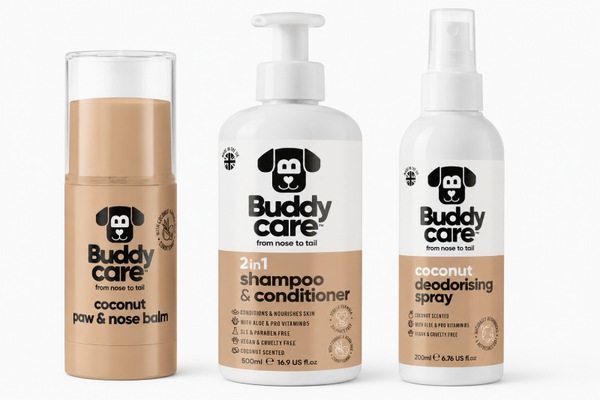 Buddy Care Bundle - Coconut -