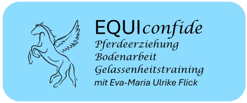 Firmenlogo EQUIconfide