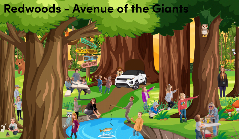 redwoods-standard.png