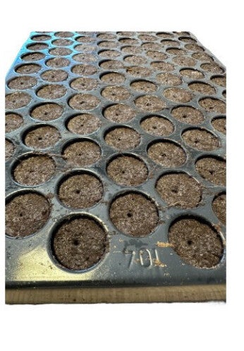 BANDEJA 104 ALVEOLOS