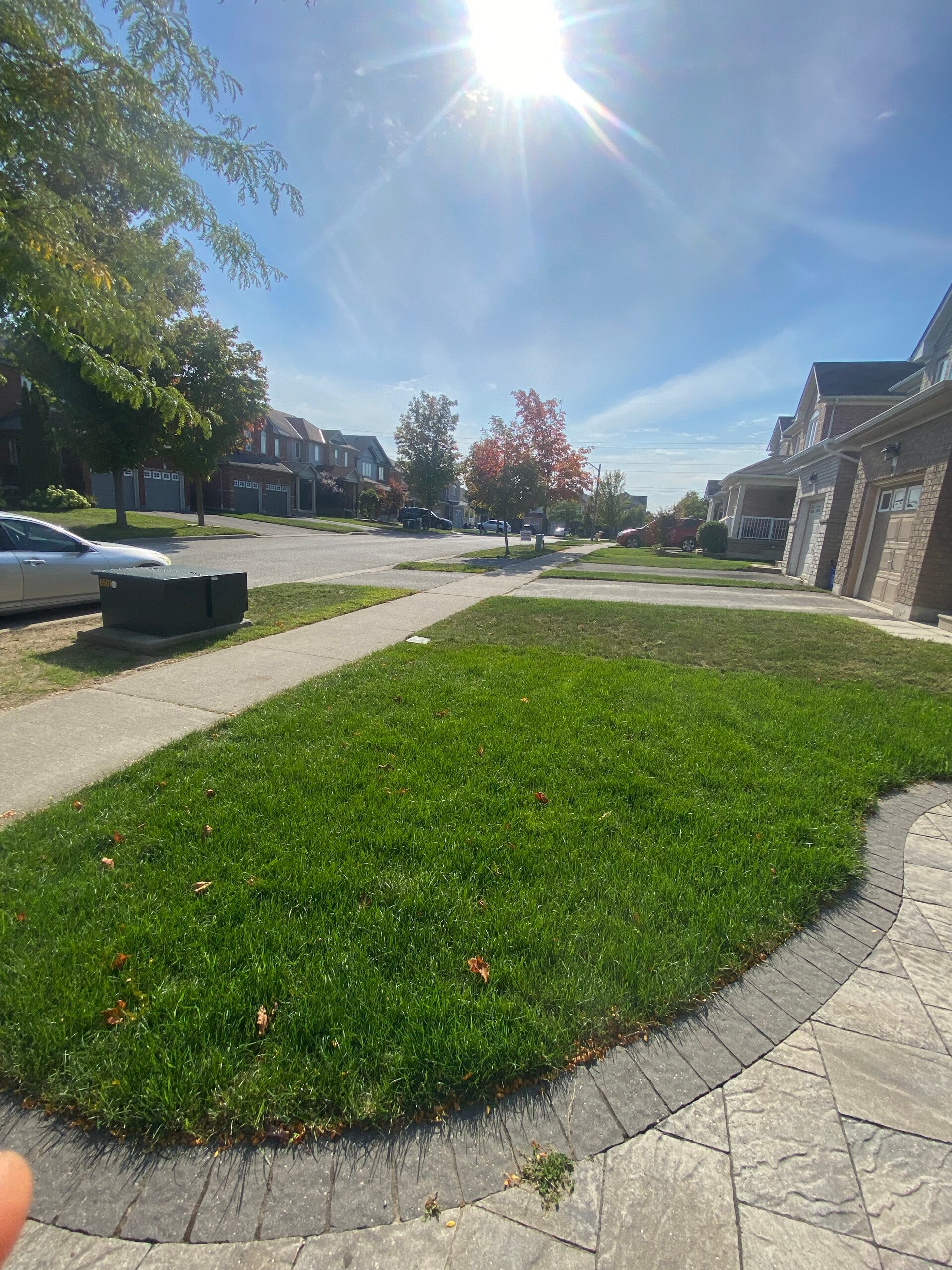Sod removal and installation to improve lawn health in Whitby ontario