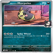 137-standard-dzlc7f.png