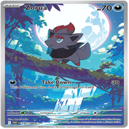 142-standard-9ymcov.png