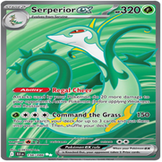 156-standard-kgqkef.png