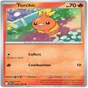 40-standard-yv5bg3.png