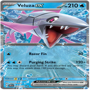 43-standard-p4y3a3.png