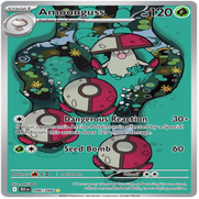 96-standard-mv74bc.png