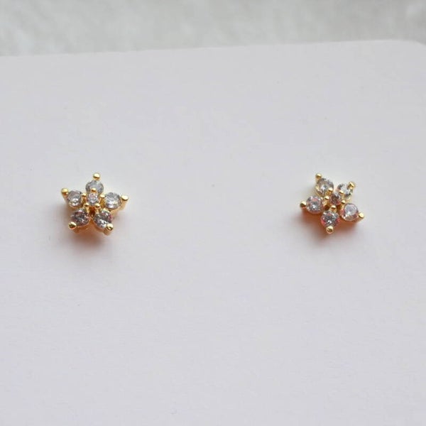 Oorstekers - Bloemetje met steentjes - Stainless Steel