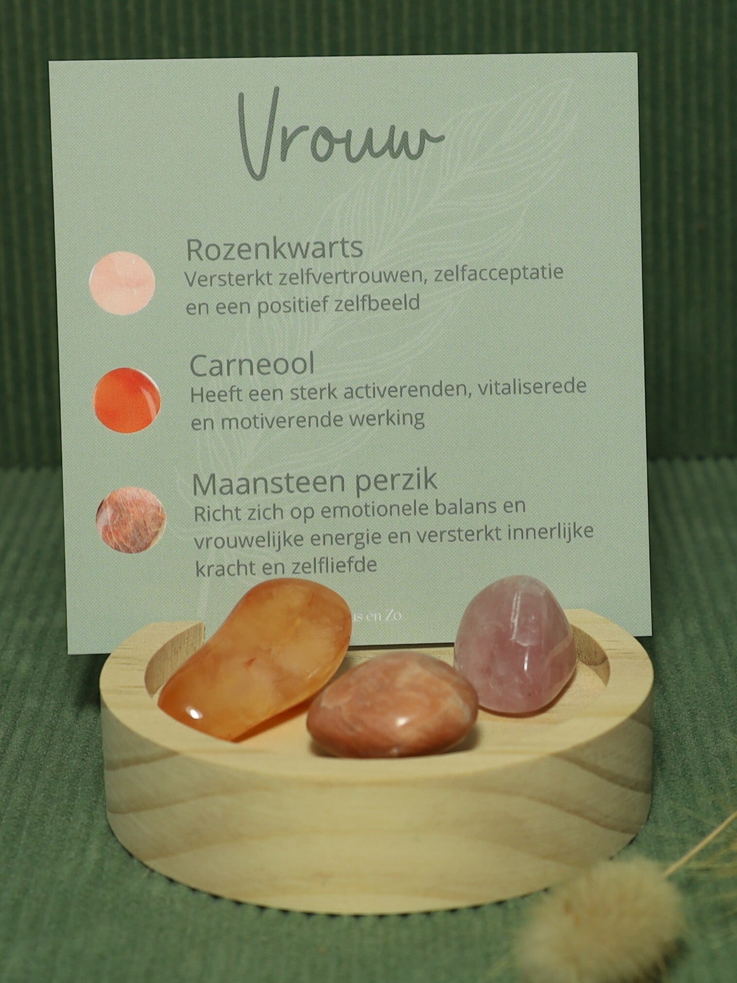 E | Vrouw