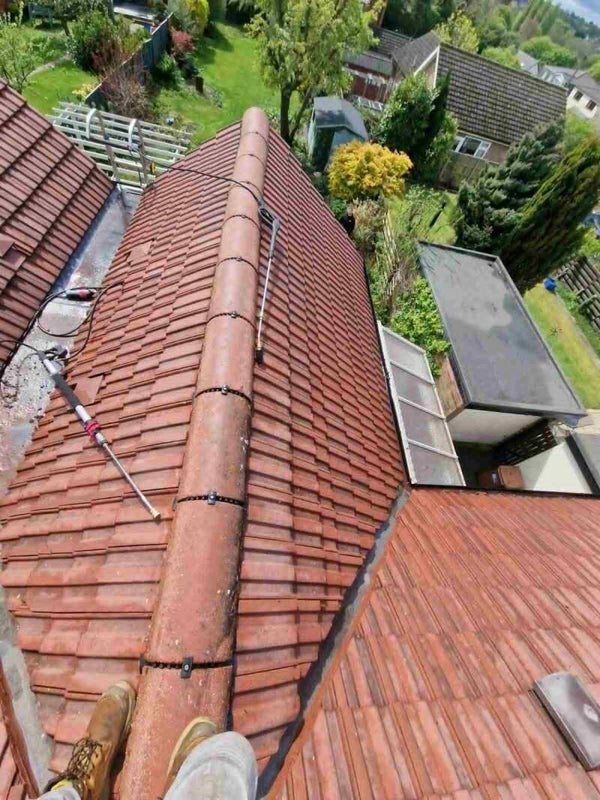 Moss removal
