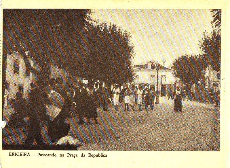 scan20012-standard.jpg
