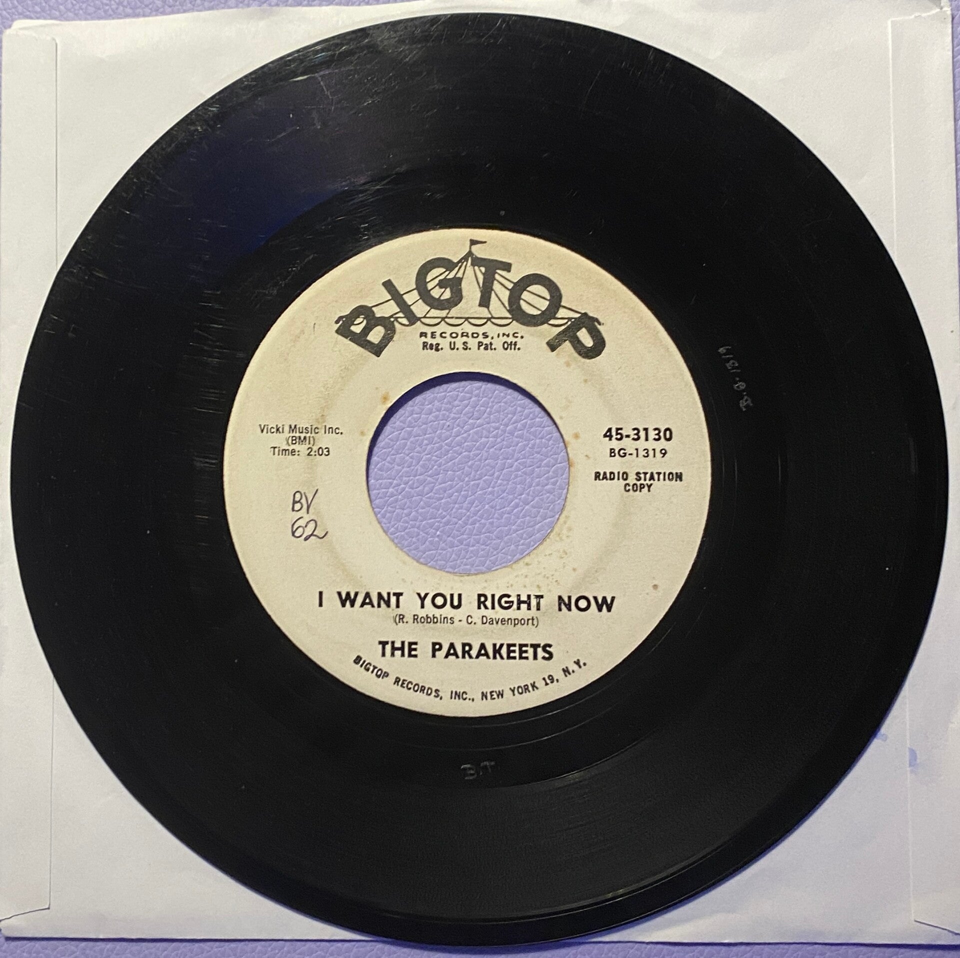 The Parakeets I Want You Right Now