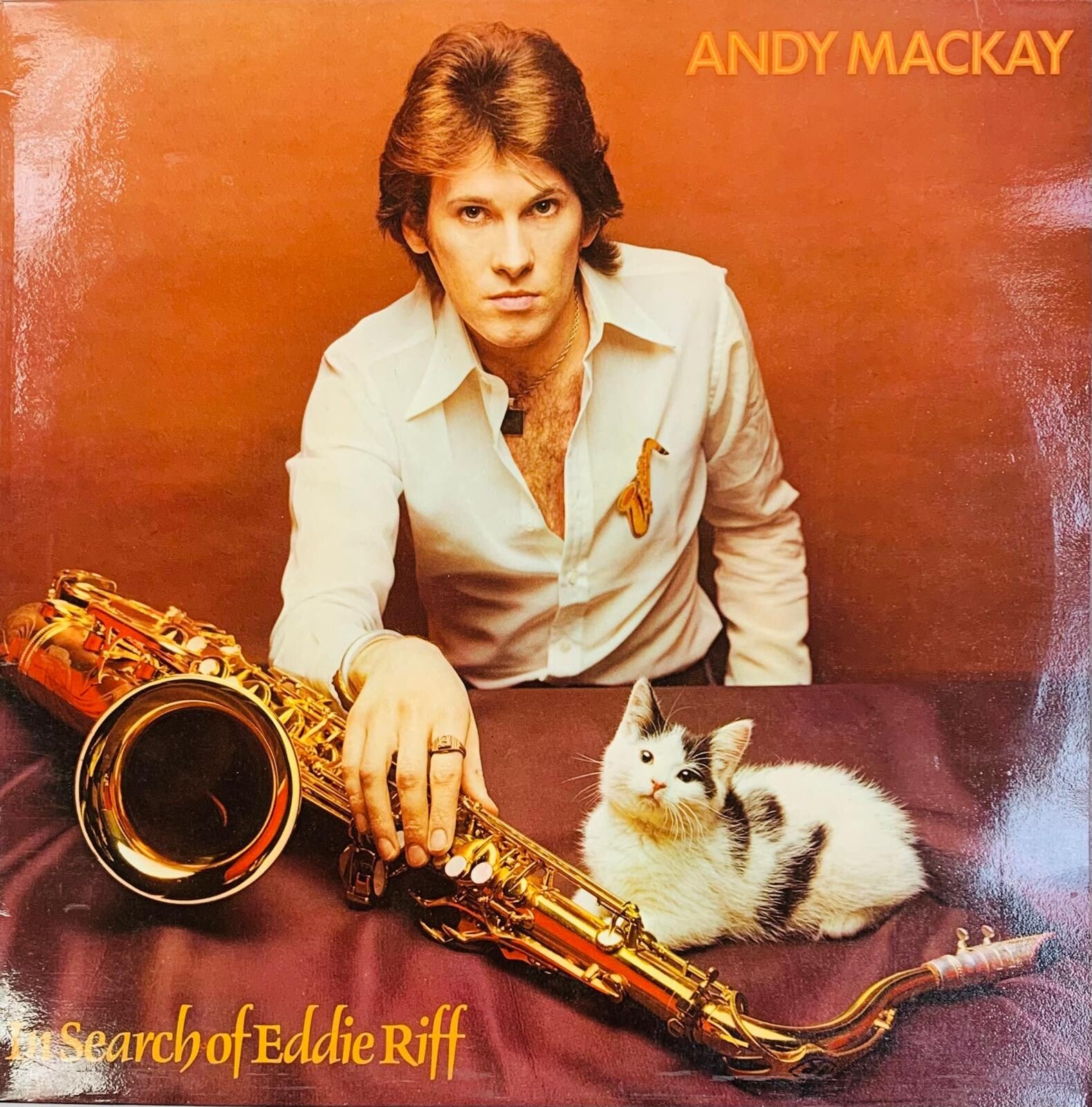 🇬🇧 ANDY MACKAY In Search of Eddie Riff 1974 Polydor Records Glam Rock "THE COLLECTOR"
