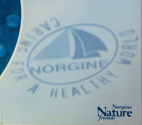 CD NORGINE Nature Friends Caring for a Healthy World Relaxation Ambiant RARE