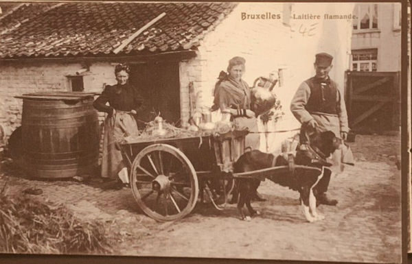 🇧🇪 CPA Bruxelles Laitière Flamande Attelage de Chien Charrette Métier Postcard Vintage