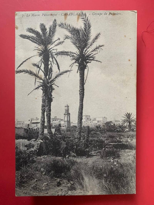 🇲🇦 CASABLANCA – Groupe de Palmiers | Le Maroc Pittoresque n°7 | THE COLLECTOR