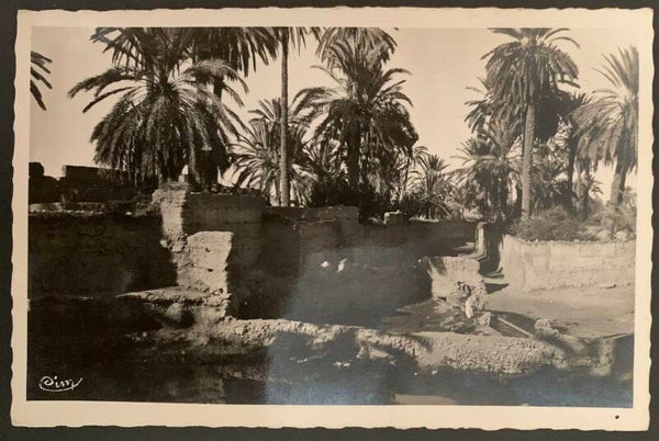 CPA  Figuig — Vue de l'Oasis