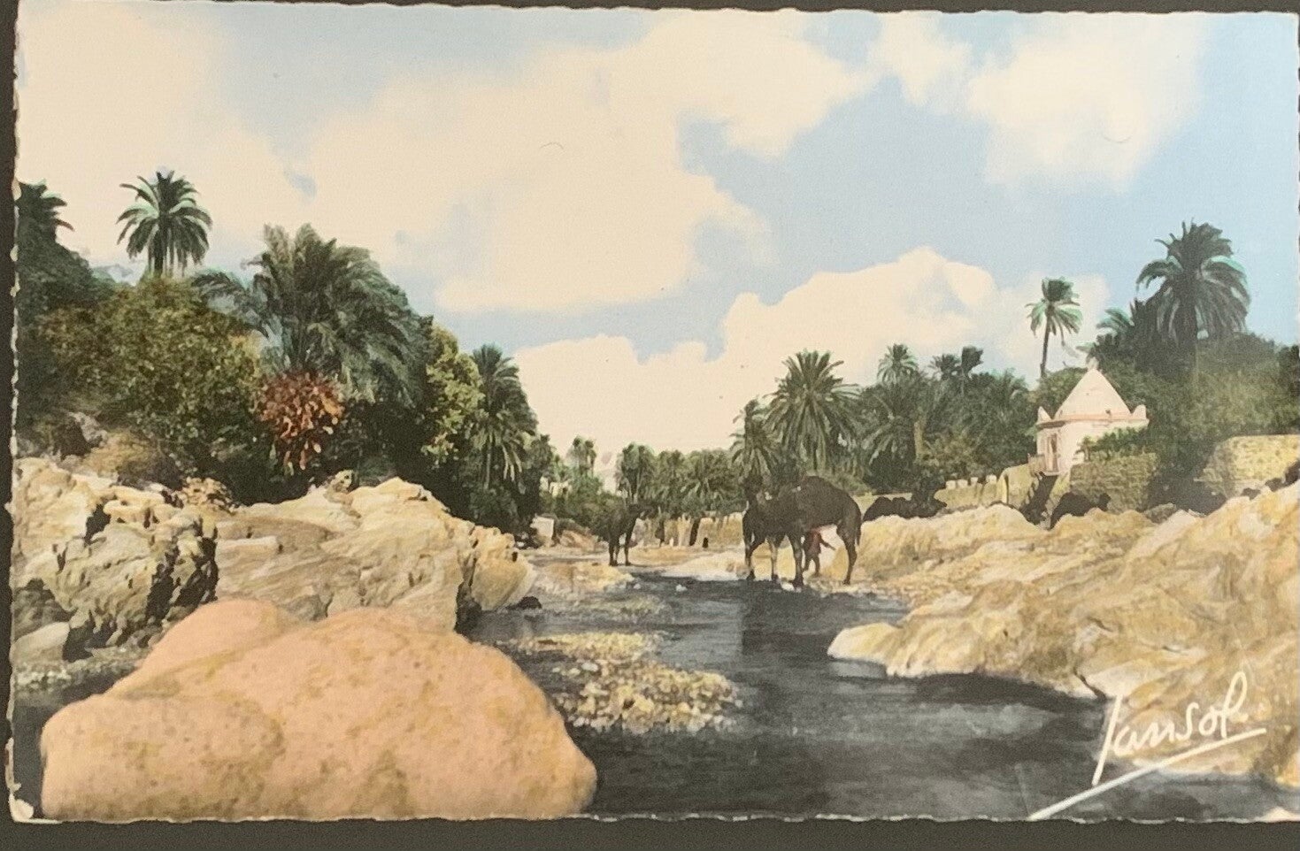 arte postale ancienne (CPA) La Palmeraie de Marrakech