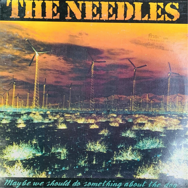 🇺🇸 THE NEEDLES – Maybe We Should Do Something About the Dog [LP] [Musidisc] [VG+] [INDIE ROCK] THE COLLECTOR
