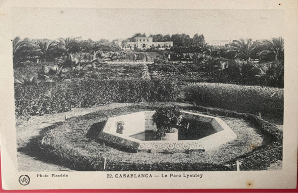 🇲🇦 CASABLANCA – Le Parc Lyautey (N° 22) [Carte Postale Ancienne] [Photo Flandrin] [ORIGINAL] THE COLLECTOR